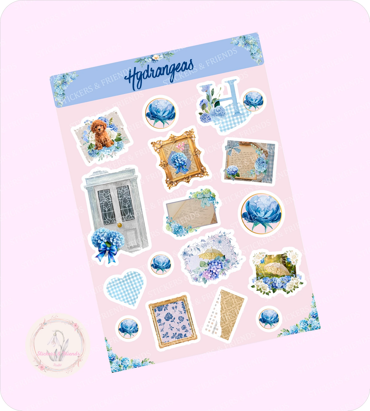 Hydrangeas 